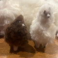 Llama Stuffies