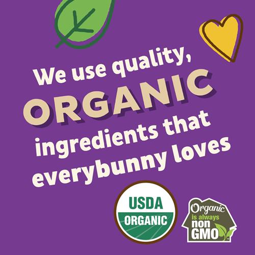 Annies Organic Friends Bunny Grahams, Chocolate Chip, Chocolate, And Honey Baked Graham Snacks, 12 Pouches, 12 Oz