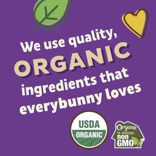 Annies Organic Honey Graham Crackers, Made With Whole Grain, 14.4 Oz