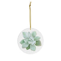 Pachyveria Haagei Succulent Ceramic Ornament – Pastel Blue Holiday Decor