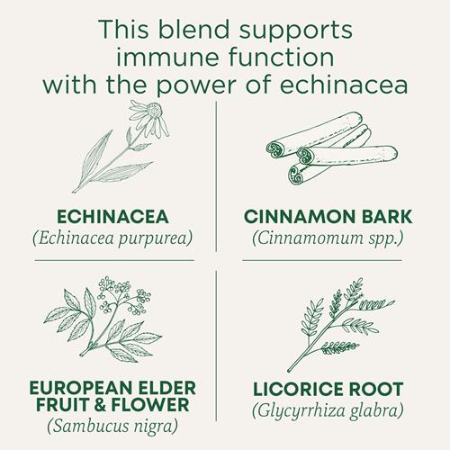 Traditional Medicinals Tea, Organic Immune Zoom Elderberry Echinacea, Supports Immune Function, 16 Tea Bags