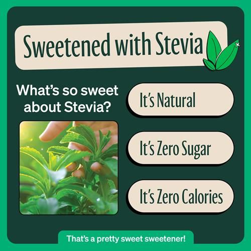 Zevia Organic Sugar Free Iced Tea, Green Tea Tropical Pineapple, 12 Ounce Can