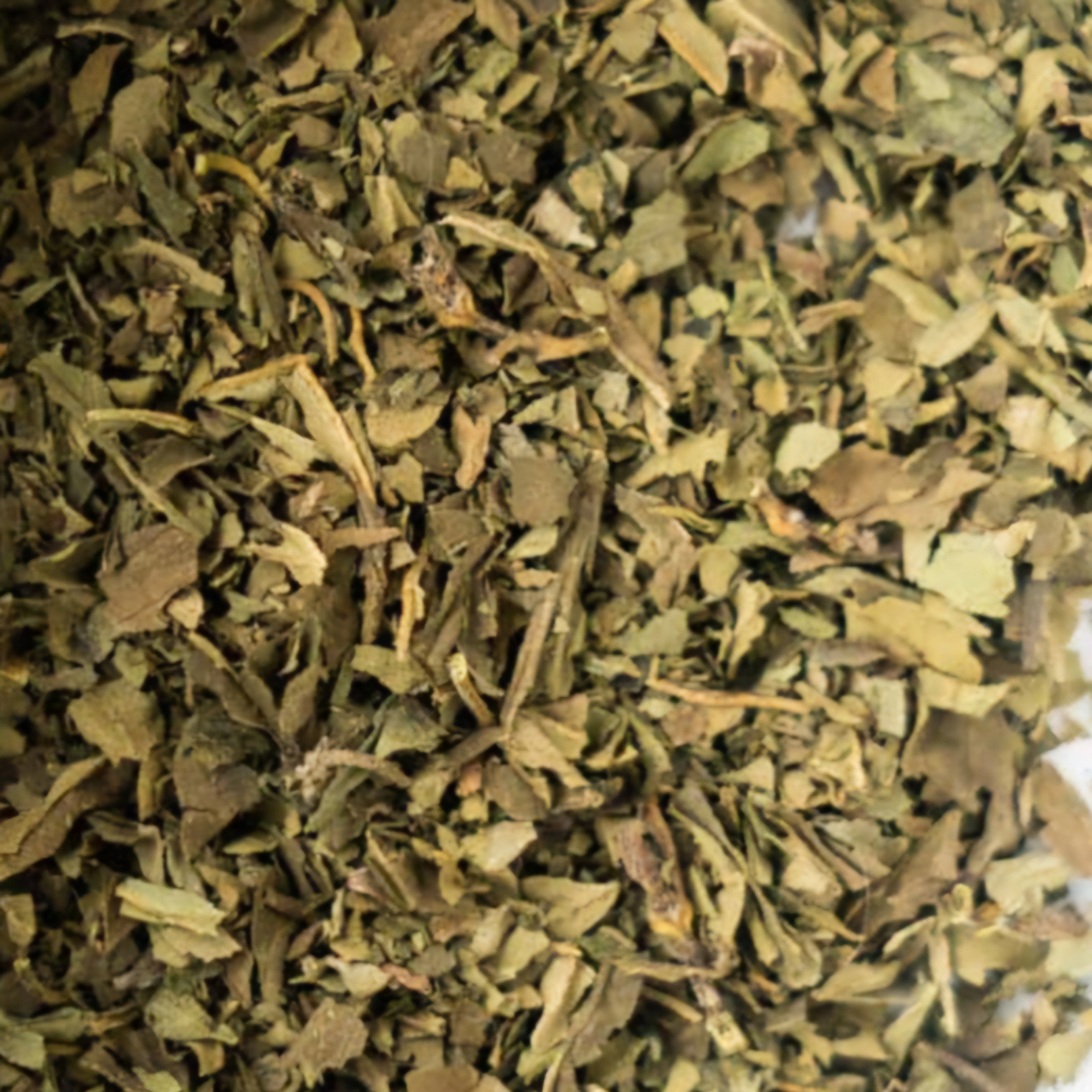 Basil Leaf | Digestive Comfort & Uplifting Energy