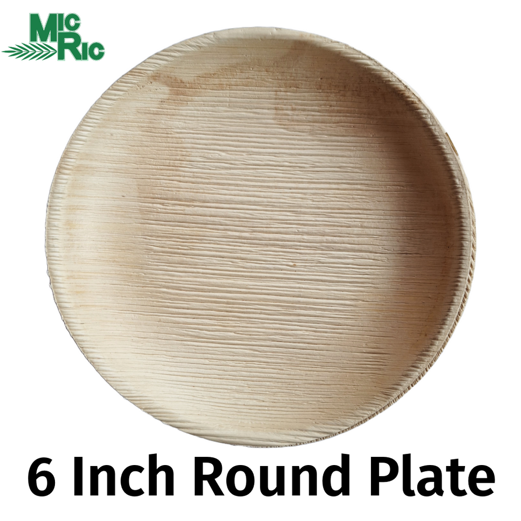 Palm leaf  6 Inch Round Plate (600 Pack)