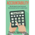 Accountability: Why We Need to Count Social and Environmental Cost for A Livable Future - Paperback