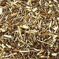 Sheep Sorrel
