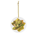 Noble Aeonium Succulent Ceramic Ornament – Gold String Holiday Decor