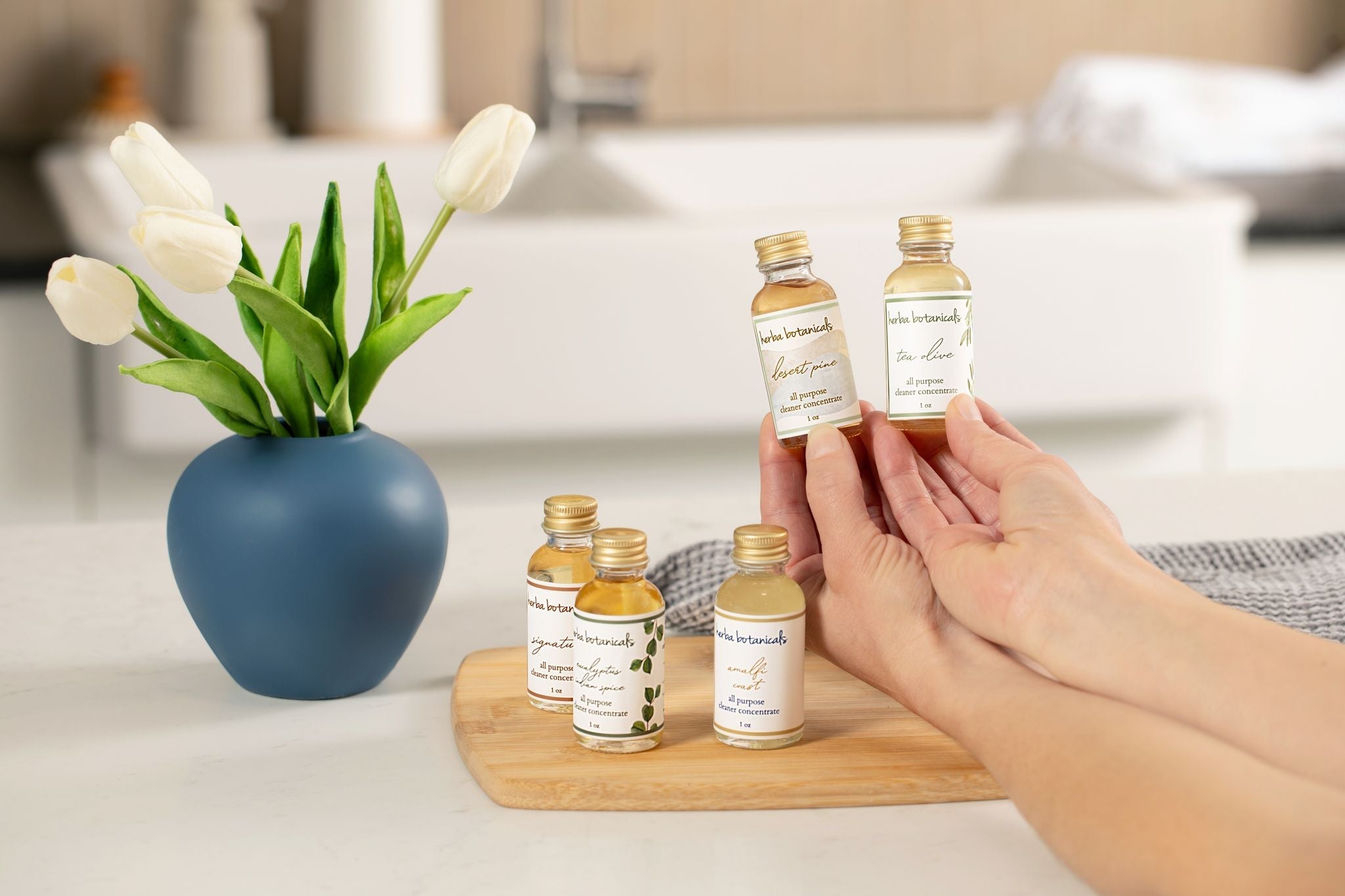 cleaner concentrate