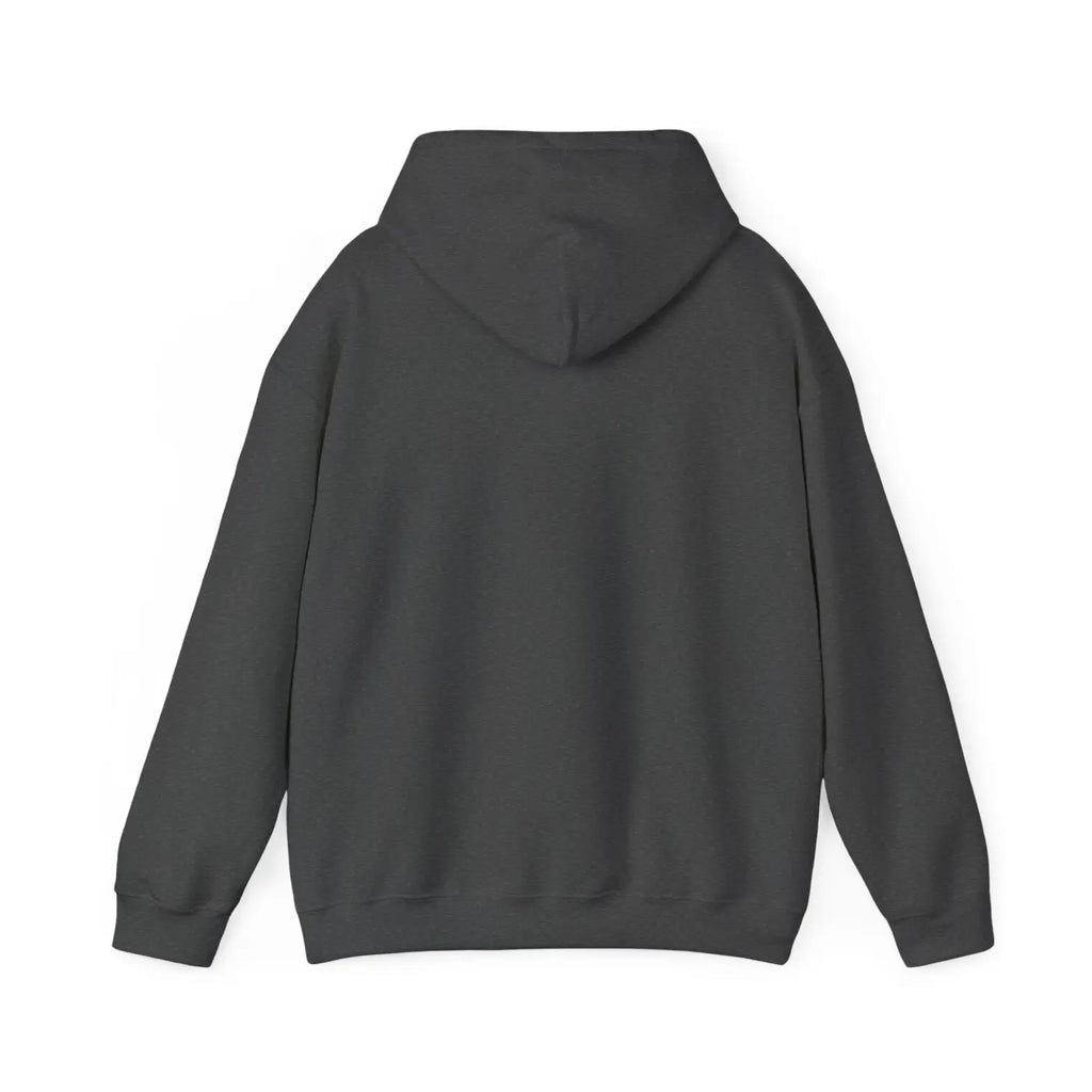 Aquarius Zodiac Sign Hooded Sweatshirt – Eco-friendly - Dipaliz