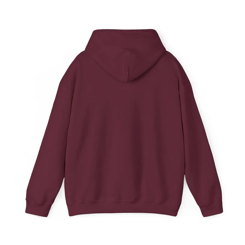 Aquarius Zodiac Sign Hooded Sweatshirt – Eco-friendly - Dipaliz