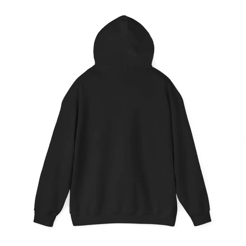 Aquarius Zodiac Sign Hooded Sweatshirt – Eco-friendly - Dipaliz