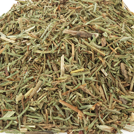 Horsetail | Hair, Skin & Bone Support
